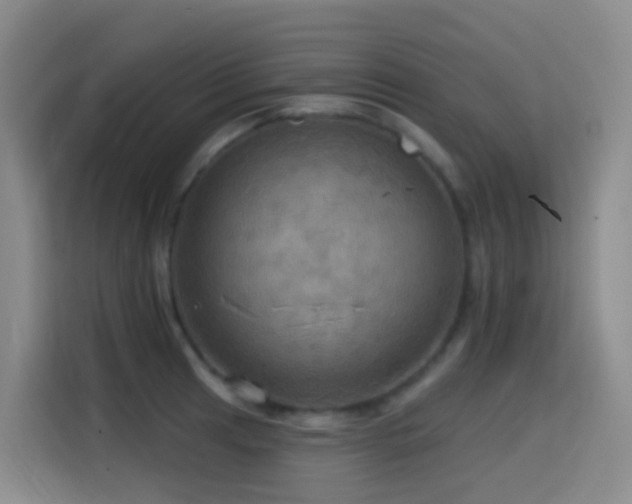 X0000114611041200910201148