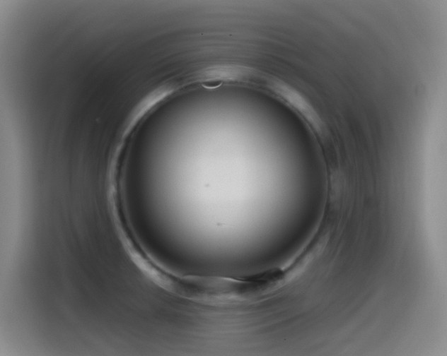 X0000114611042200910201148