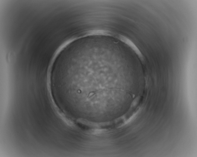 X0000114611043200910201148