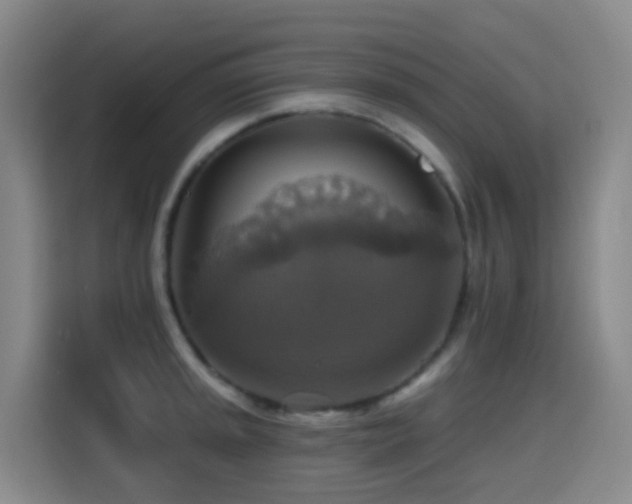 X0000114611045200910201148