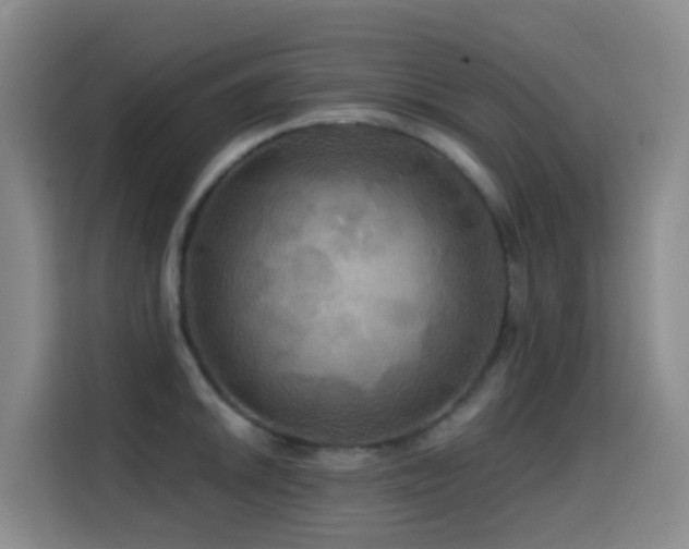 X0000114611046200910201148