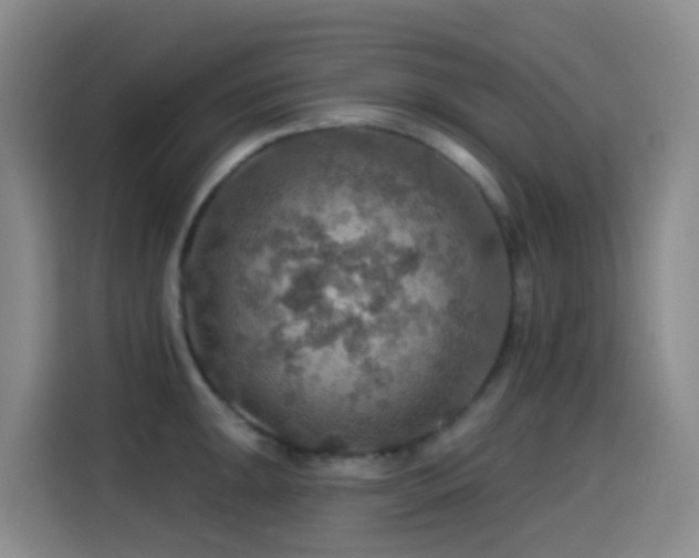 X0000114611047200910201148