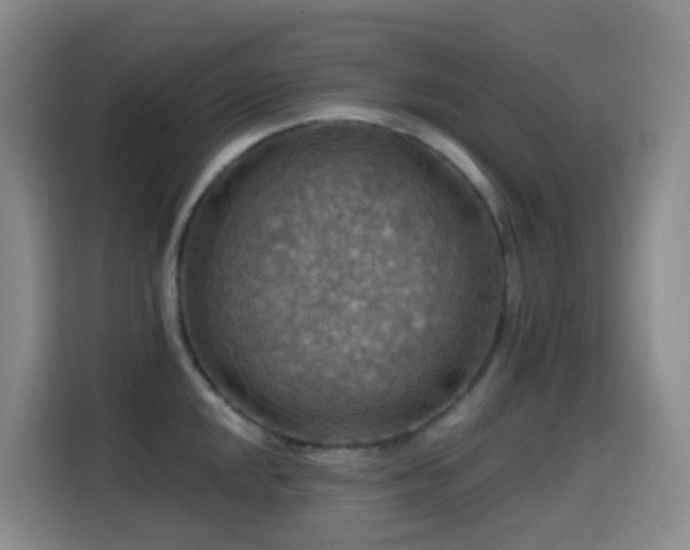 X0000114611048200910201148