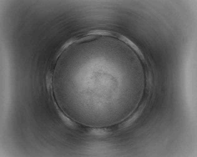 X0000114611049200910201148