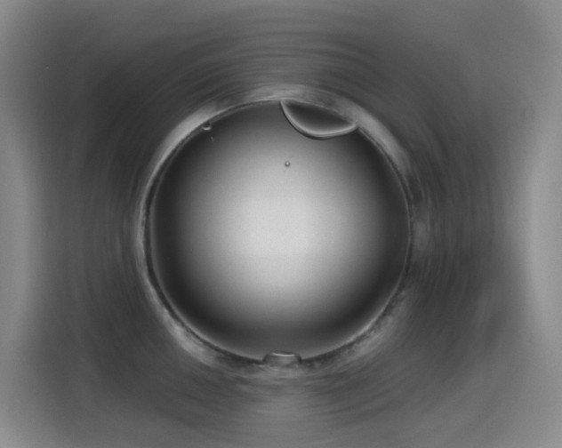 X0000114611050200910201148