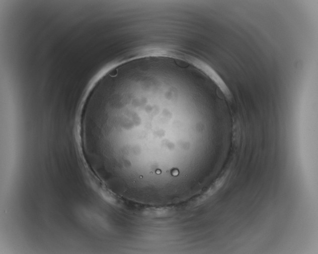 X0000114611051200910201148