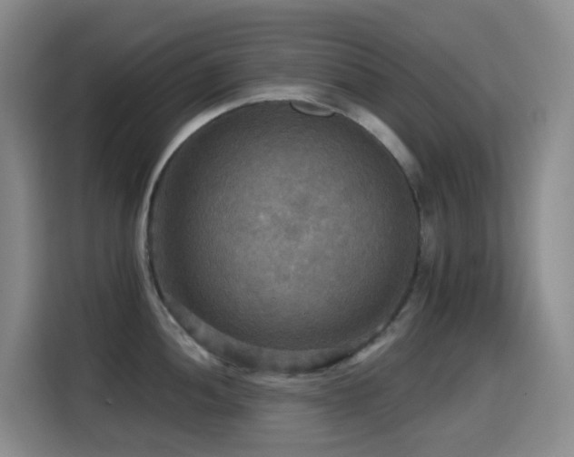 X0000114611052200910201149