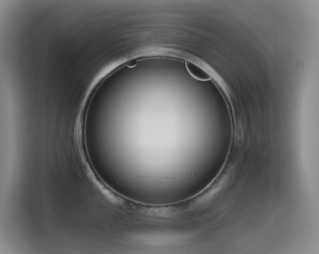 X0000114611053200910201149