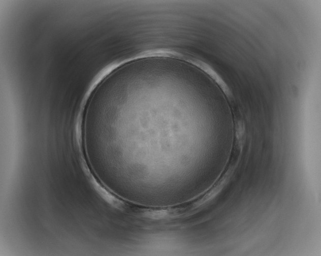 X0000114611054200910201149