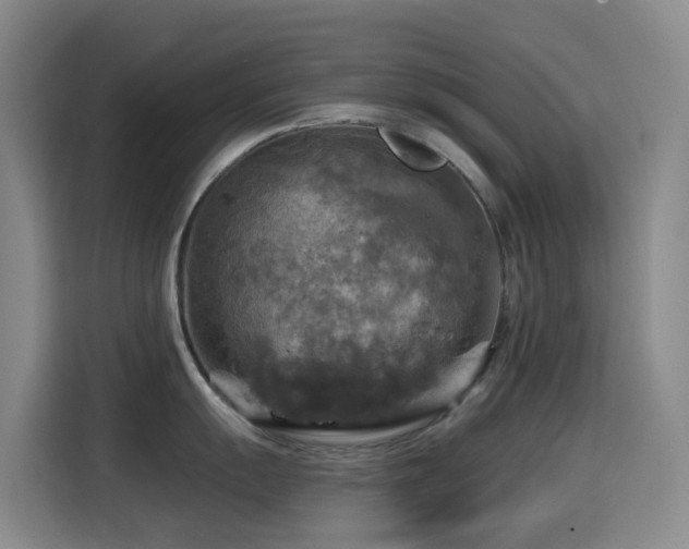 X0000114611055200910201149