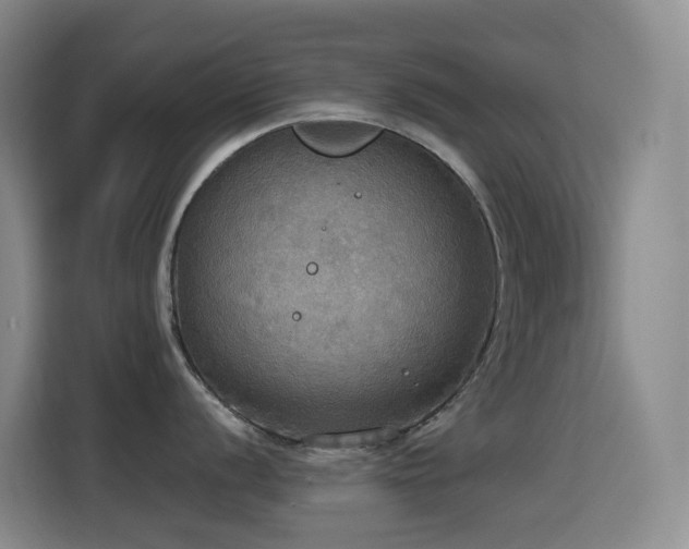 X0000114611056200910201149