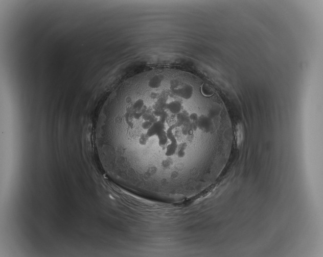 X0000114611059200910201148