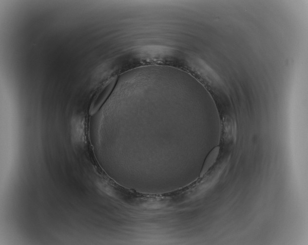 X0000114611060200910201148