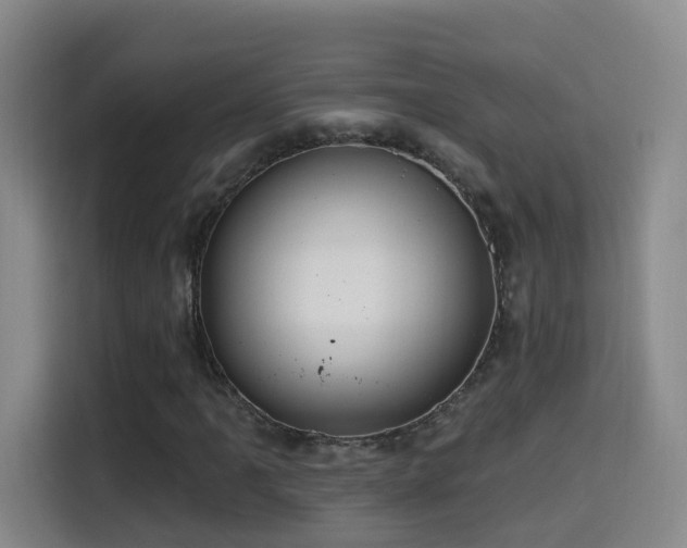 X0000114611061200910201148