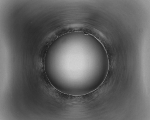 X0000114611062200910201148