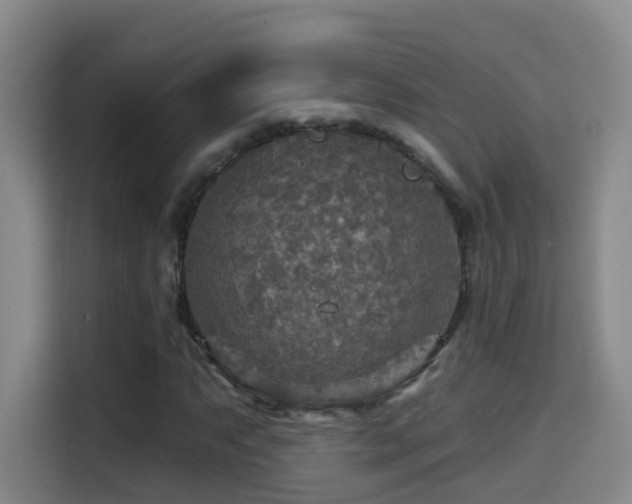 X0000114611063200910201148