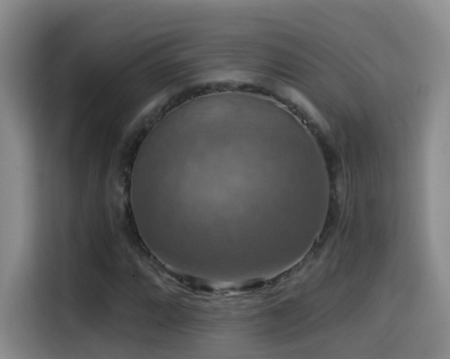 X0000114611064200910201148