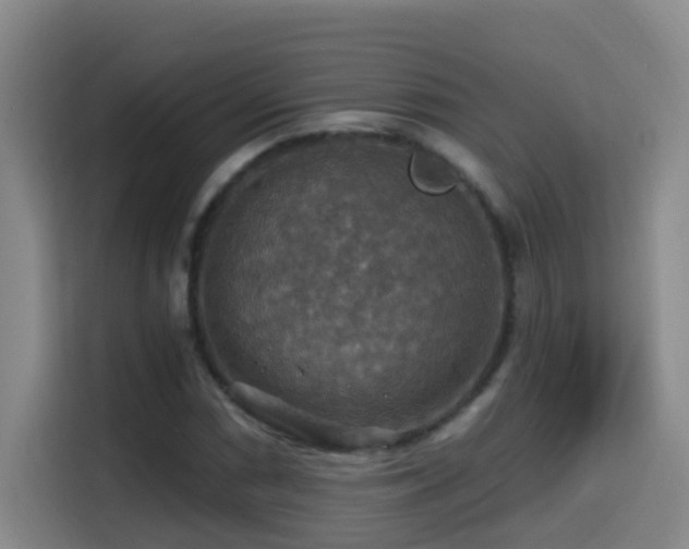 X0000114611066200910201148