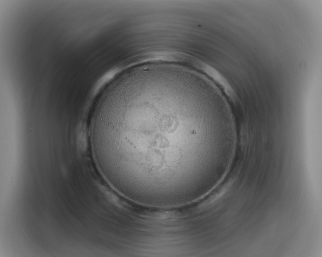 X0000114611067200910201148