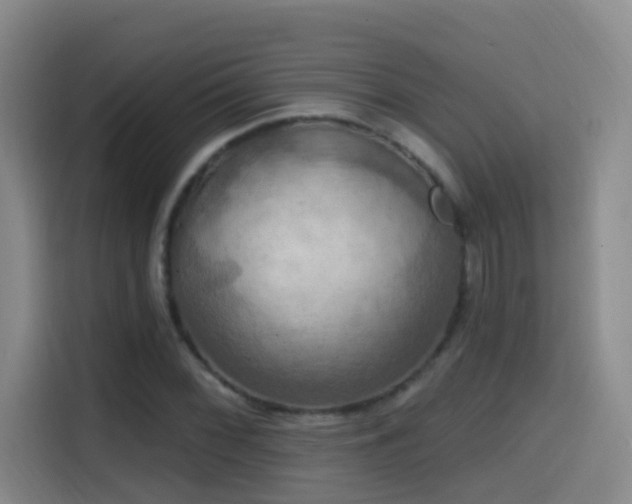 X0000114611068200910201148