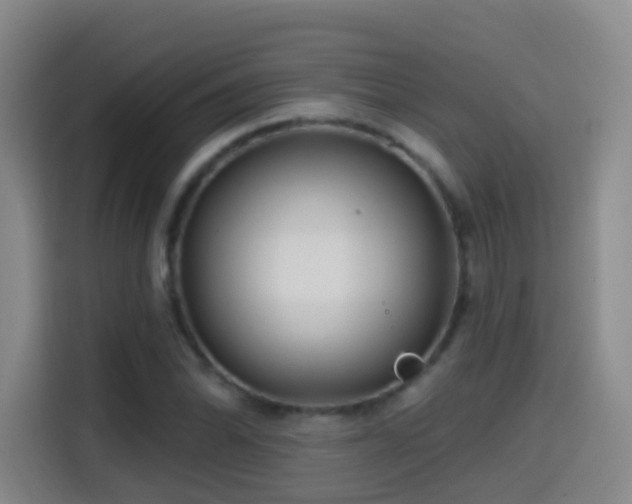 X0000114611070200910201148