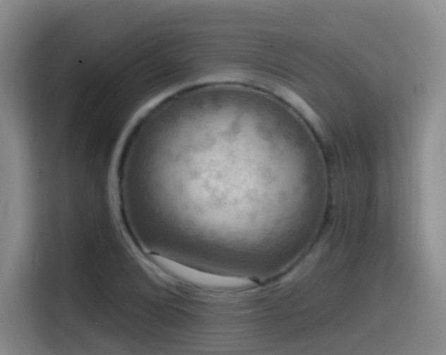 X0000114611072200910201148