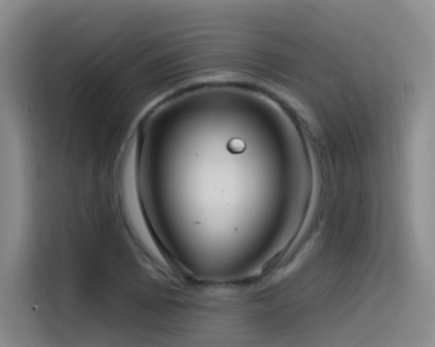 X0000114611073200910201148