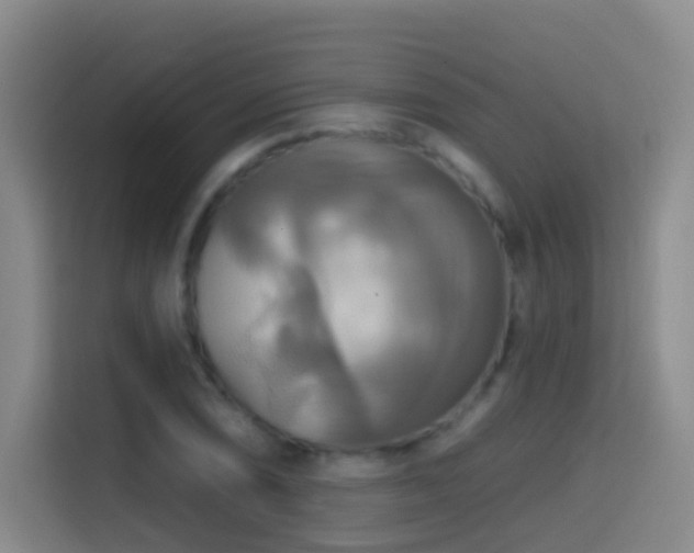 X0000114611074200910201148