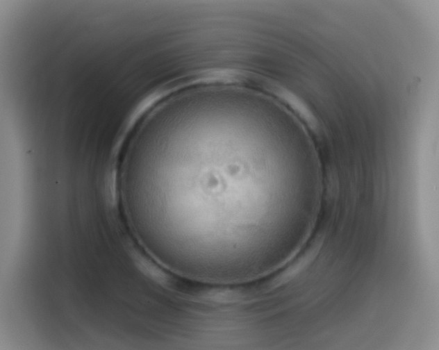 X0000114611075200910201148