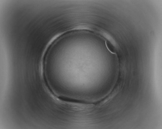 X0000114611076200910201148