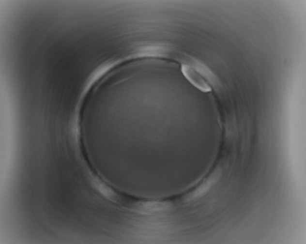 X0000114611077200910201148