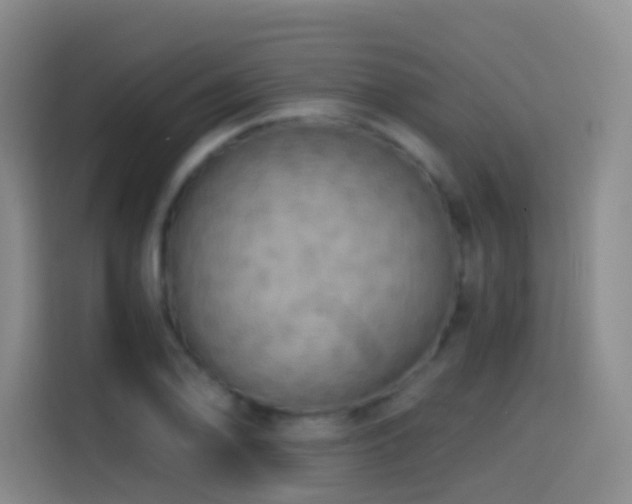 X0000114611078200910201148