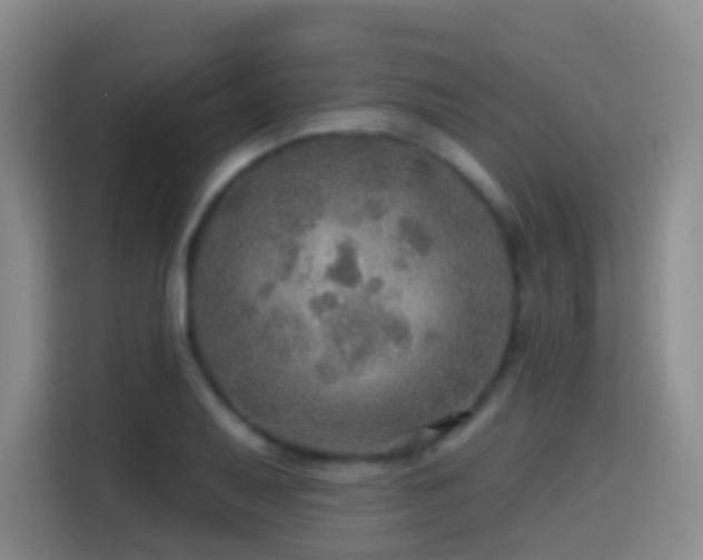 X0000114611079200910201148