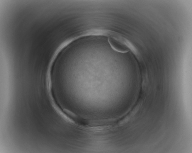 X0000114611080200910201148