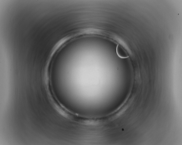 X0000114611082200910201148