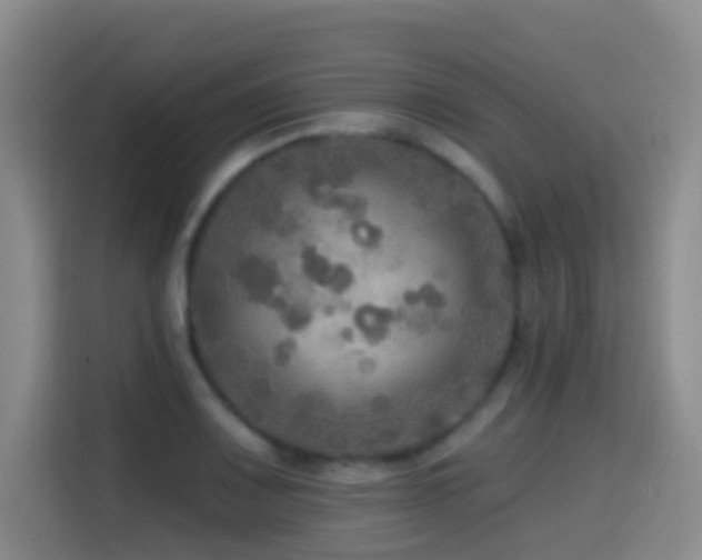 X0000114611083200910201148