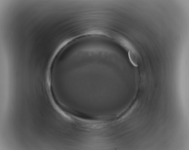 X0000114611084200910201148