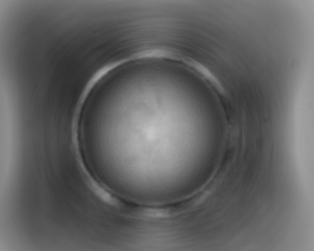 X0000114611086200910201148