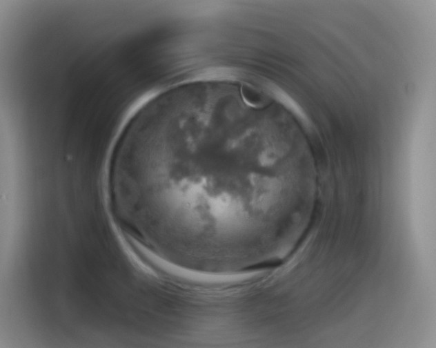 X0000114611087200910201148