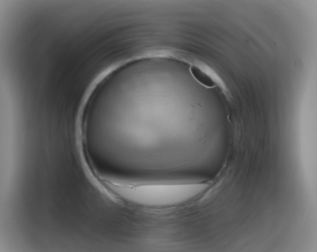 X0000114611088200910201148