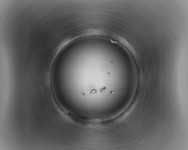 X0000114611089200910201148