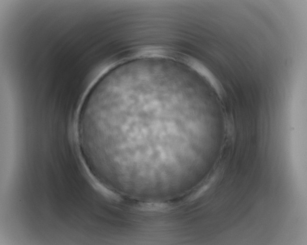 X0000114611090200910201148