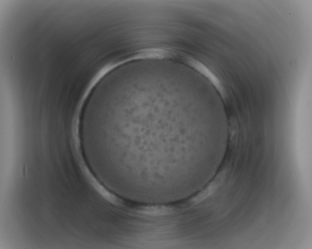 X0000114611091200910201148