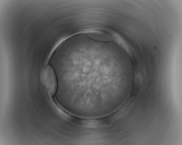 X0000114611092200910201147