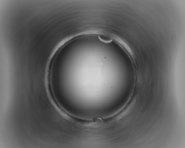 X0000114611093200910201147