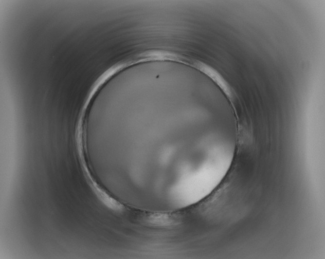 X0000114611098200910201147