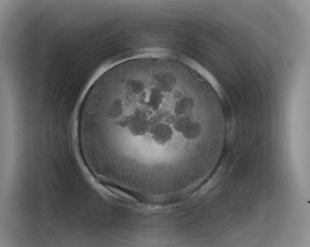 X0000114611099200910201147