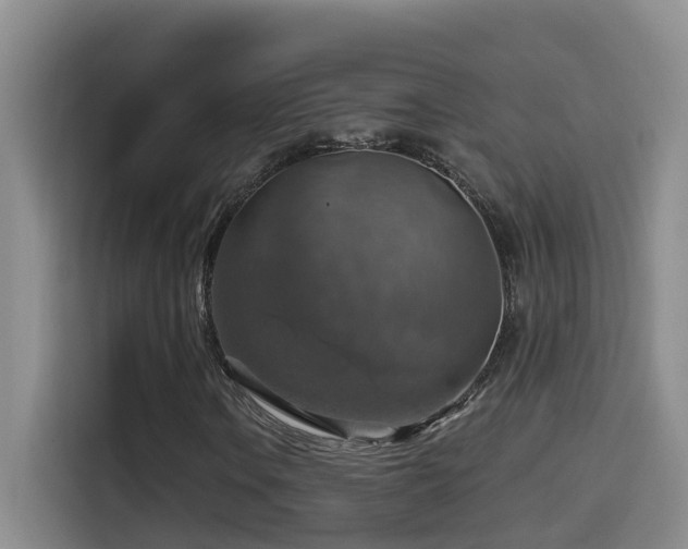 X0000114611106200910201147