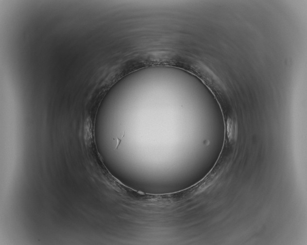 X0000114611107200910201147