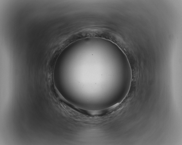 X0000114611109200910201147